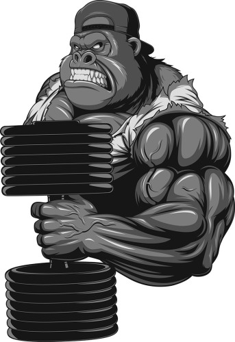 Gorillas-and-Bench-Pressing